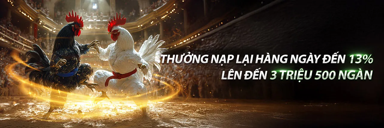Trách nhiệm cờ bạc tại n188