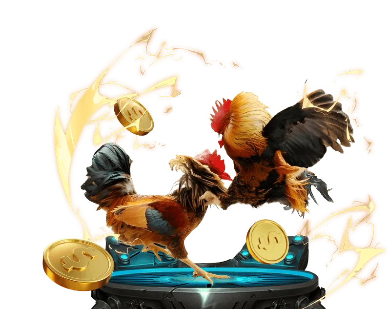 Người chơi đang đăng ký tài khoản trên điện thoại để xem và đặt cược đá gà online